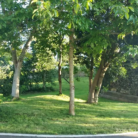 Casa Hortensia * Salas (Asturias)