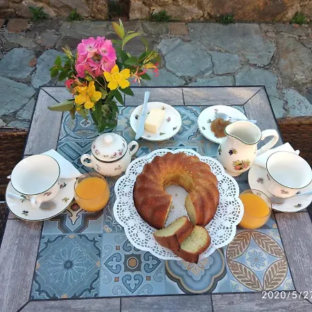 Semesterbostad Casa Hortensia Salas (Asturias)