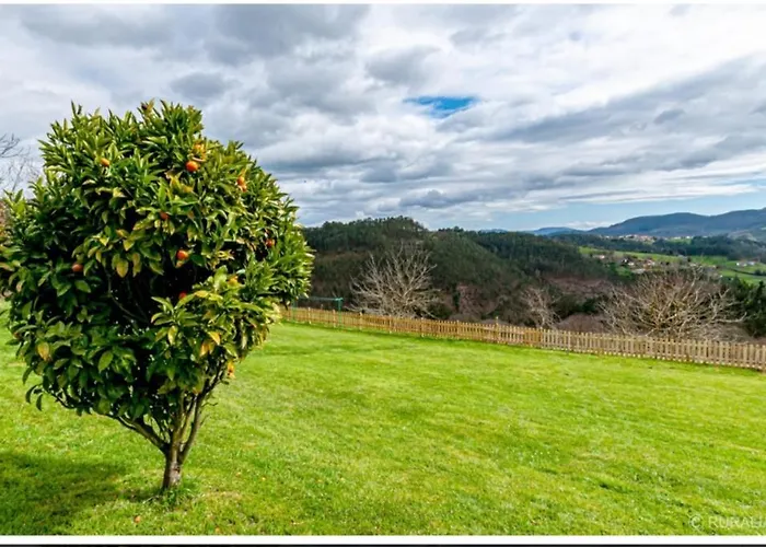Casa Hortensia Сasa de vacaciones Salas (Asturias)